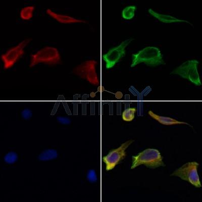 Валидация Affinity DF6230 - 17510