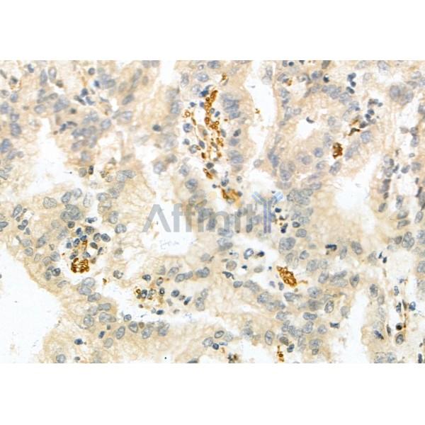 Валидация Affinity DF4808 - 16553