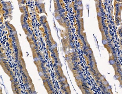 Валидация Affinity DF15727 - 12200