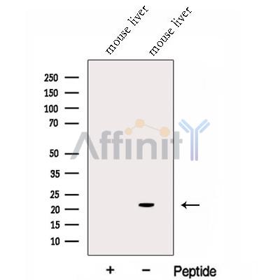 Валидация Affinity DF13037 - 7867
