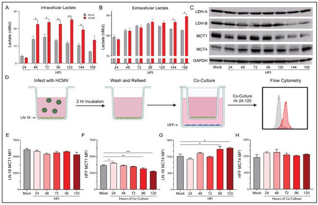 Валидация AssayVector ARM1390(1099)