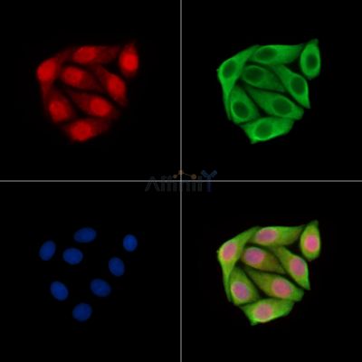 Валидация Affinity DF15640 - 12073