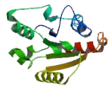 Interleukin 1 Receptor Accessory Protein Like Protein 2 (IL1RAPL2) Interleukin 1 Receptor Accessory Protein Like Protein 2 (IL1RAPL2)