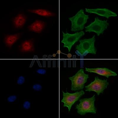 Валидация Affinity DF6272 - 17572