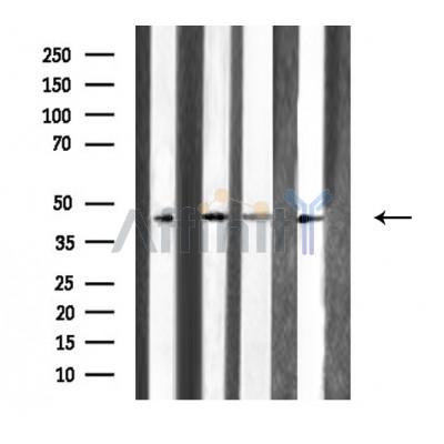 Валидация Affinity DF3790 - 14896