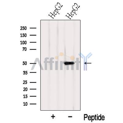 Валидация Affinity DF8271 - 20115
