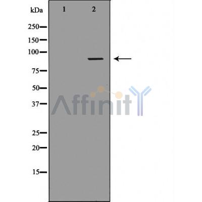 Валидация Affinity DF4454 - 15970