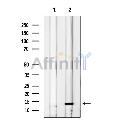 Валидация Affinity DF12377 - 6837