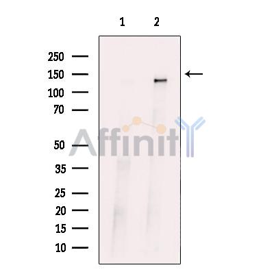 Валидация Affinity DF10326 - 5948