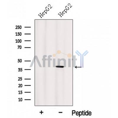 Валидация Affinity DF12641 - 7281
