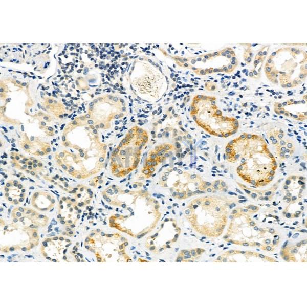 Валидация Affinity DF9469 - 22059