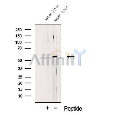 Валидация Affinity DF12534 - 7136