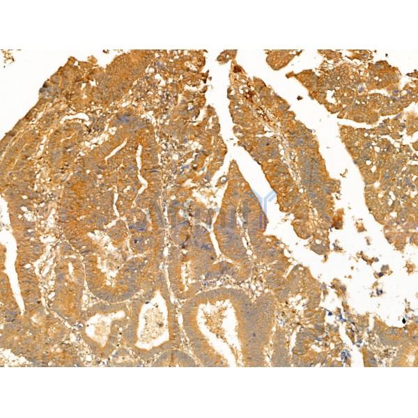 Валидация Affinity DF13726 - 9359