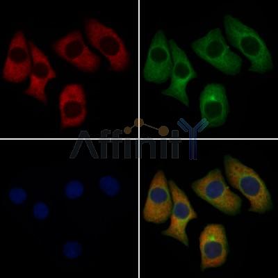 Валидация Affinity DF6416 - 17784