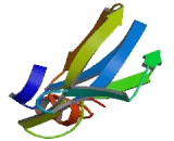 Membrane Spanning 4 Domains Subfamily A, Member 2 (MS4A2) Membrane Spanning 4 Domains Subfamily A, Member 2 (MS4A2)