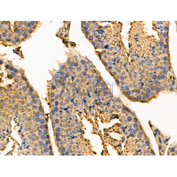 Валидация Affinity DF3274 - 14129