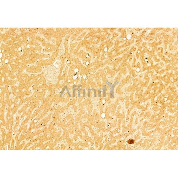 Валидация Affinity DF7427 - 19172