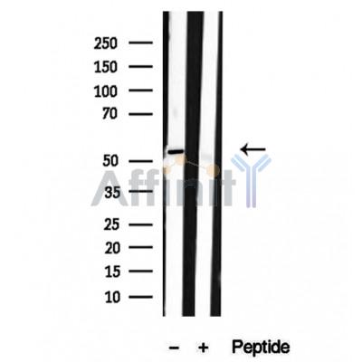 Валидация Affinity DF12231 - 6523