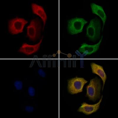 Валидация Affinity DF2904 - 13634