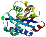 Lymphocyte Function Associated Antigen 1 Alpha (LFA1a) Lymphocyte Function Associated Antigen 1 Alpha (LFA1a)