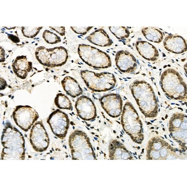 Валидация Affinity DF7863 - 19680