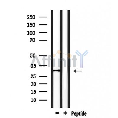 Валидация Affinity DF7849 - 19665