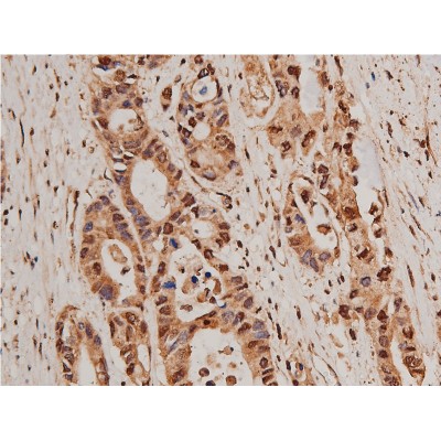 Валидация Affinity AF6490 - 3823