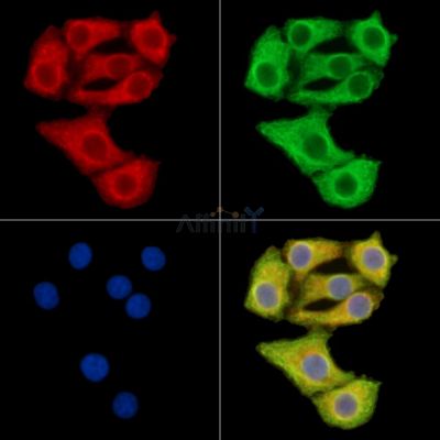 Валидация Affinity DF14614 - 10636