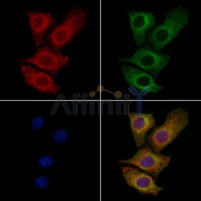 Валидация Affinity DF12790 - 7482