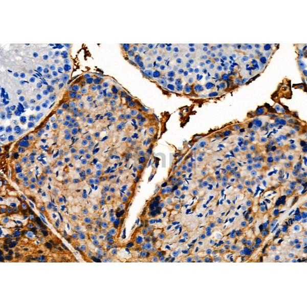 Валидация Affinity DF9421 - 21979