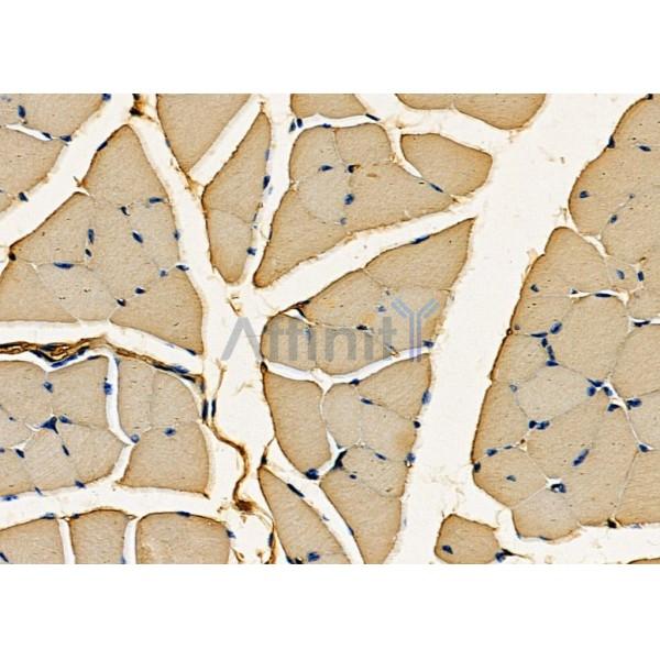 Валидация Affinity DF7783 - 19600