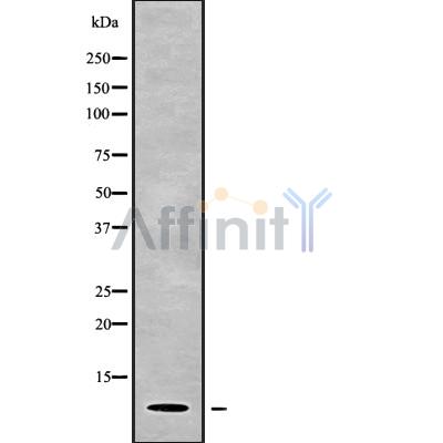 Валидация Affinity DF9777 - 22616