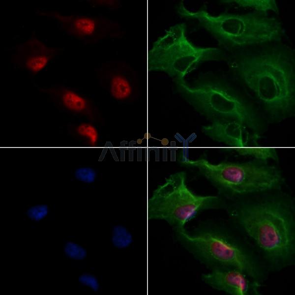 Валидация Affinity DF6916 - 18518