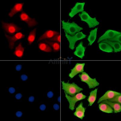 Валидация Affinity DF14621 - 10646