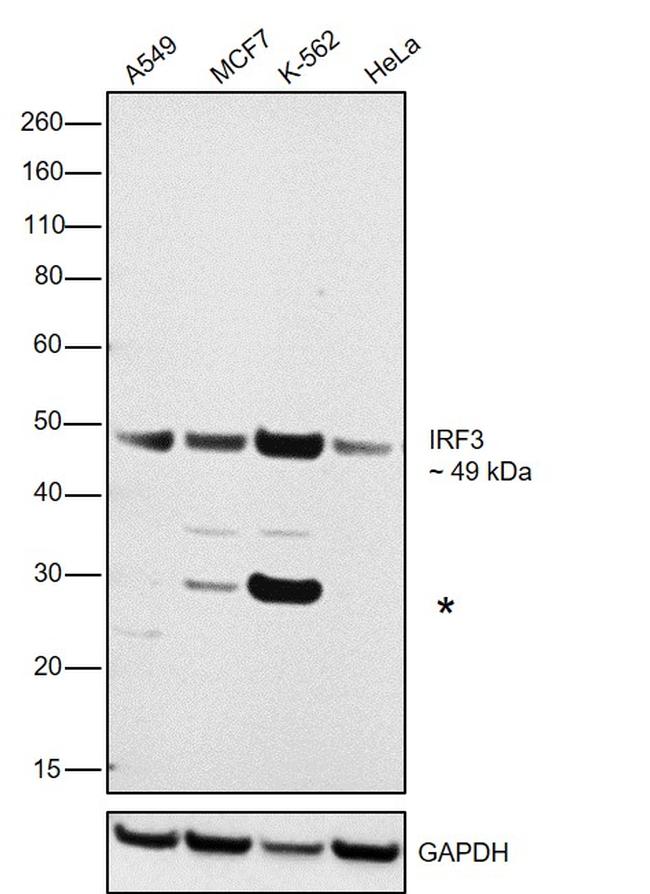 Валидация AssayVector ARM2327(4033)