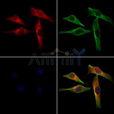 Валидация Affinity DF12101 - 6220