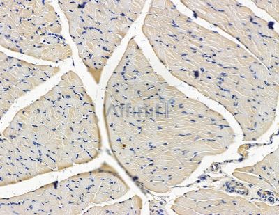 Валидация Affinity DF15475 - 11843