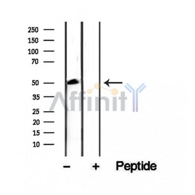 Валидация Affinity DF12257 - 6580