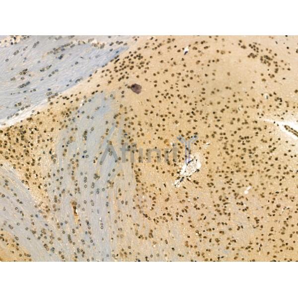 Валидация Affinity DF3097 - 13852