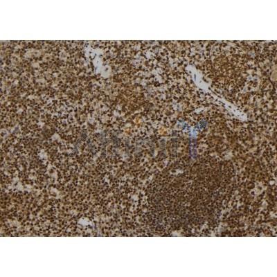 Валидация Affinity DF7034 - 18667