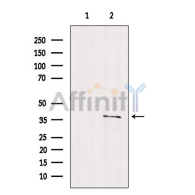 Валидация Affinity AF9139 - 4933