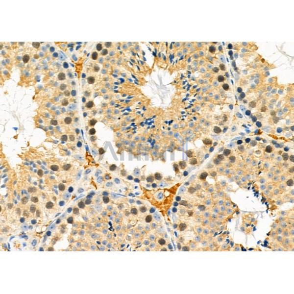 Валидация Affinity DF6035 - 17254