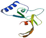 Interferon Alpha Inducible Protein 27 Like Protein 1 (IFI27L1) Interferon Alpha Inducible Protein 27 Like Protein 1 (IFI27L1)