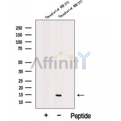 Валидация Affinity DF12640 - 7280