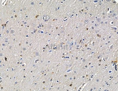 Валидация Affinity DF15349 - 11647