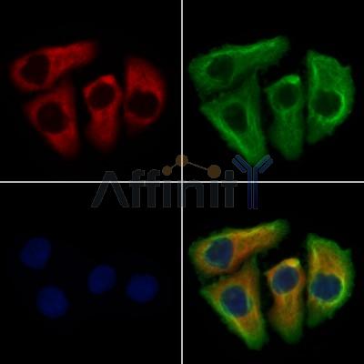 Валидация Affinity DF13710 - 9328