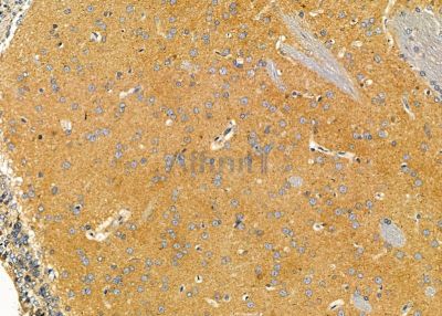 Валидация Affinity DF9333 - 21817