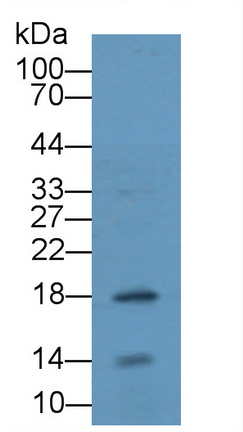 11953
