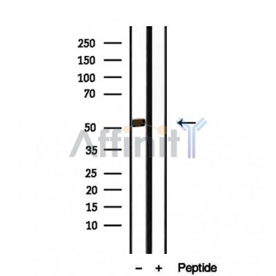Валидация Affinity DF12267 - 6598