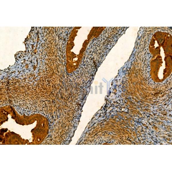 Валидация Affinity AF5388 - 3024